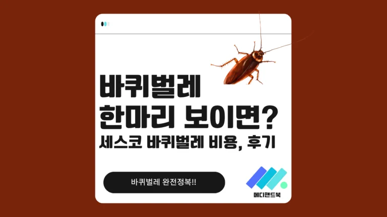 바퀴벌레 한 마리 보이면 썸네일