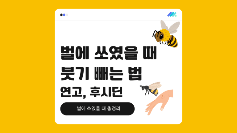 벌에 쏘였을 때 붓기 빼는 법 썸네일