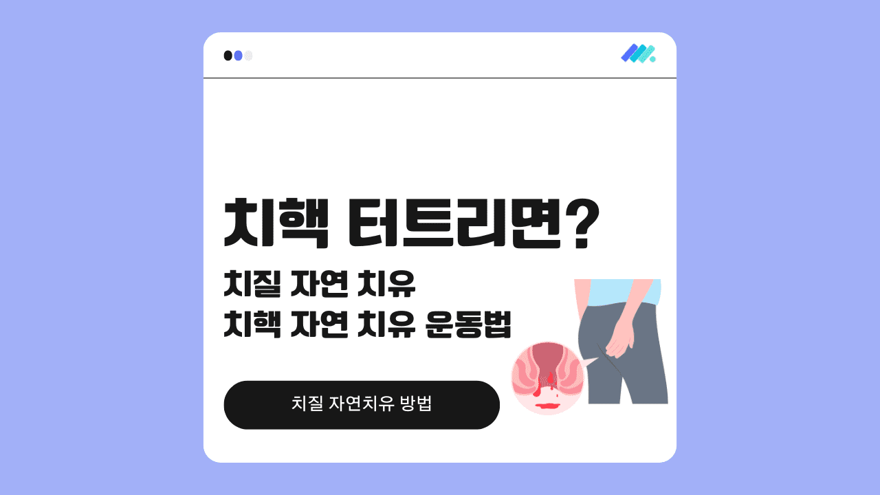 치핵 터트리면 썸네일