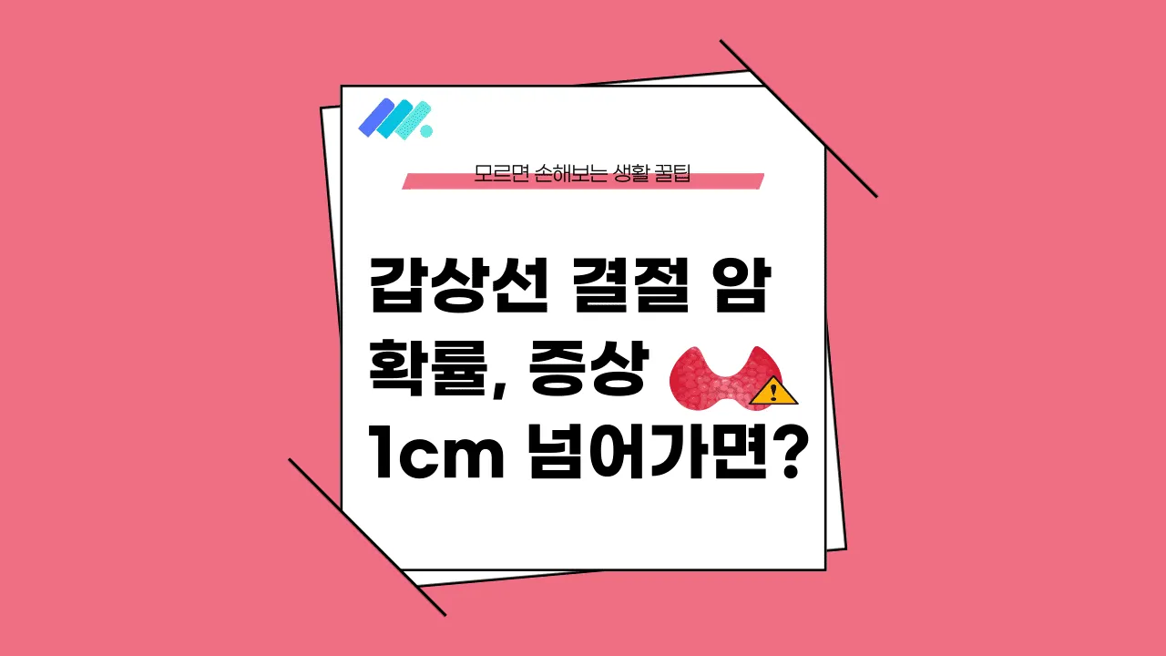 갑상선 결절 암 확률 썸네일