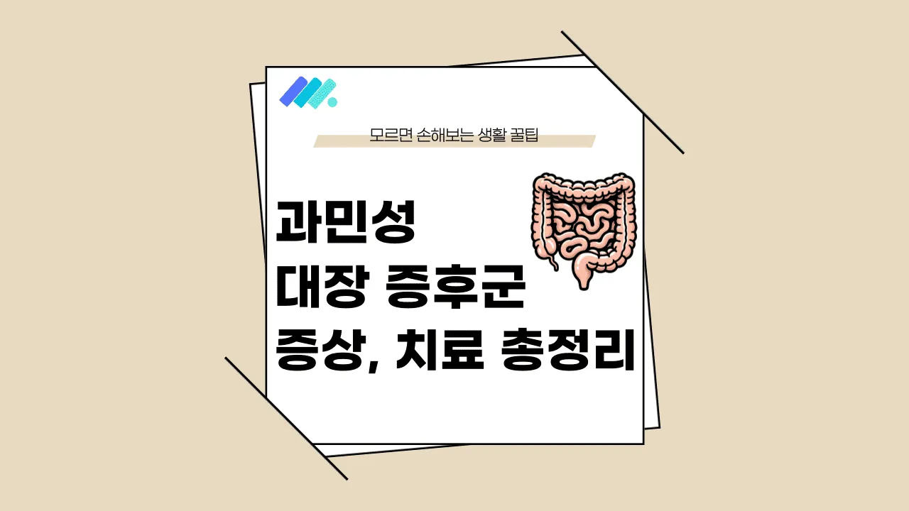 과민성 대장 증후군 증상 썸네일