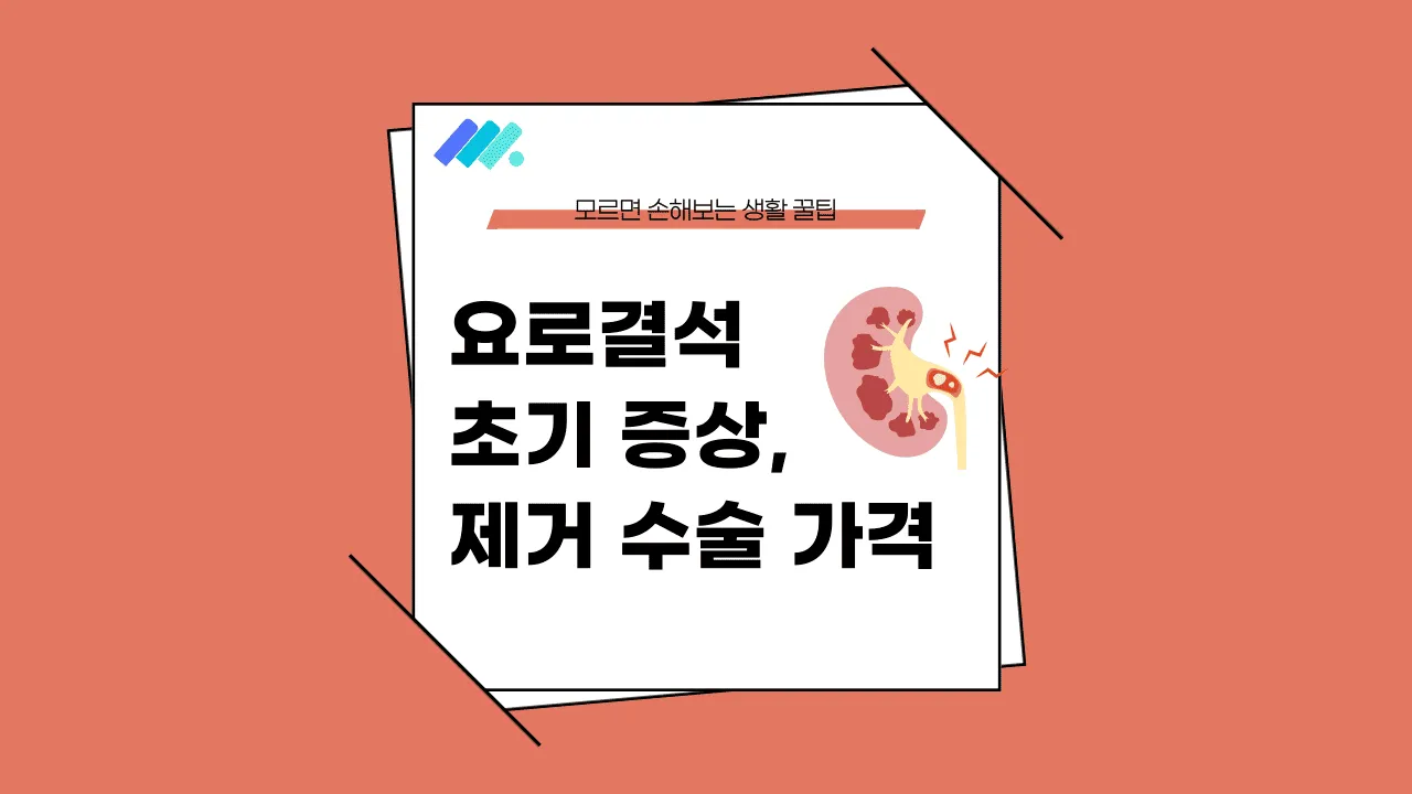 요로결석 초기 증상 썸네일