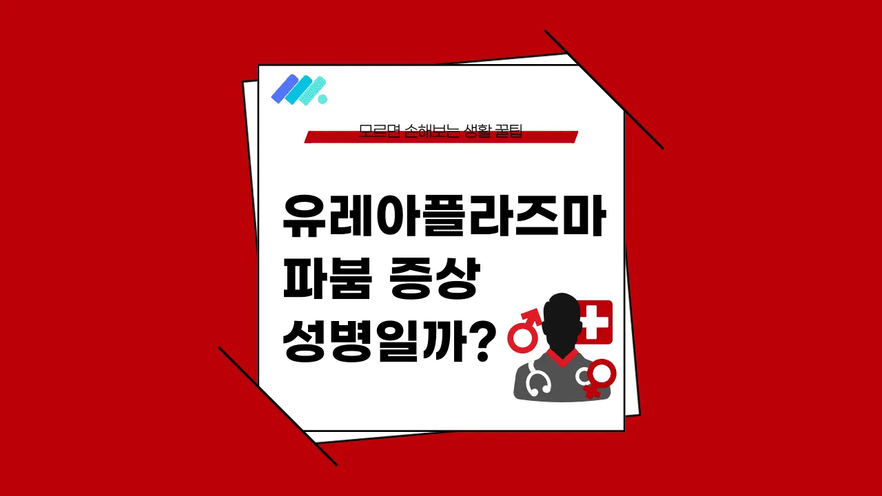유레아플라즈마 파붐 썸네일