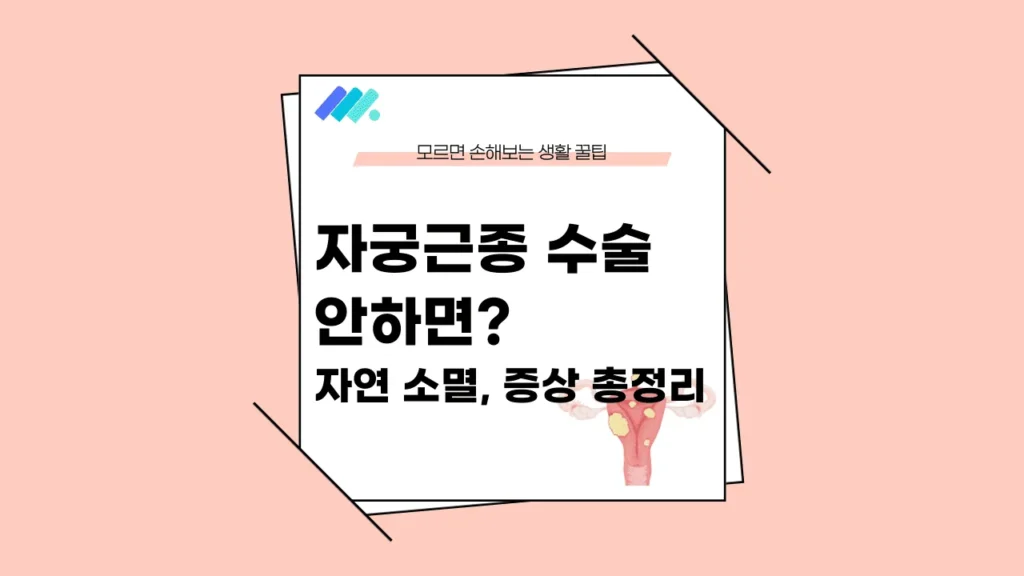 자궁근종 수술 안하면 썸네일 이미지