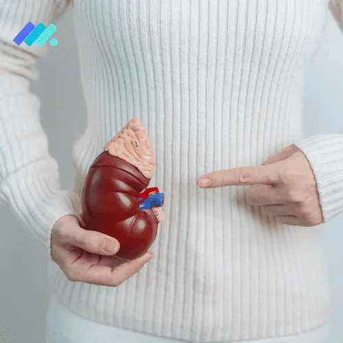 소변에 거품, 단백뇨 증상이다? 모르면 큰일나는 단백뇨 이야기 - 메디핸드북