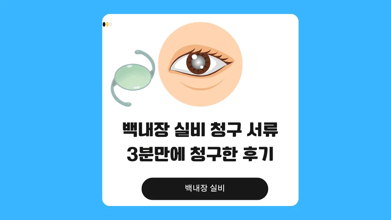 백내장 실비 청구 서류