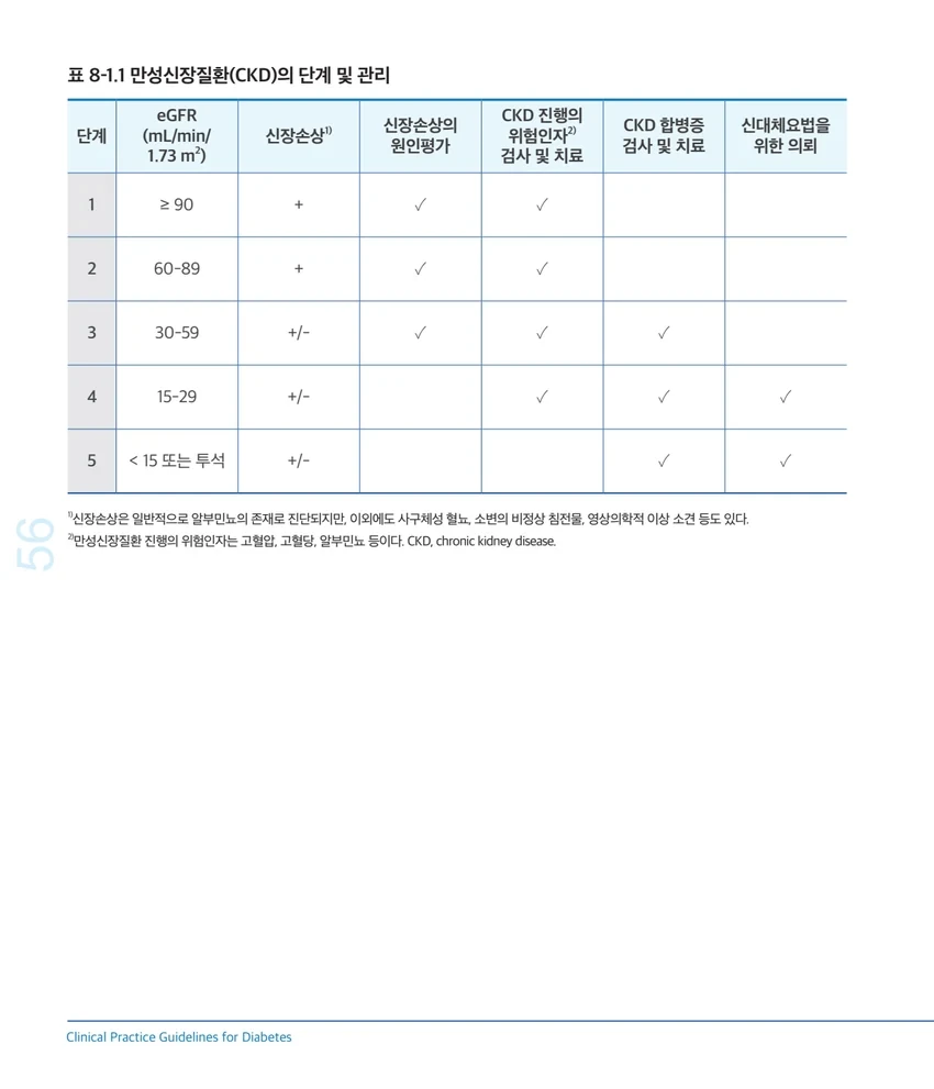 2025 당뇨병 진료지침의 만성신장질환 단계와 관리 표
