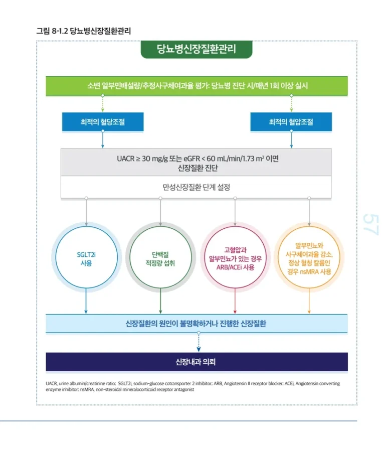 2025 당뇨병 진료지침의 당뇨병신장질환 관리 알고리듬