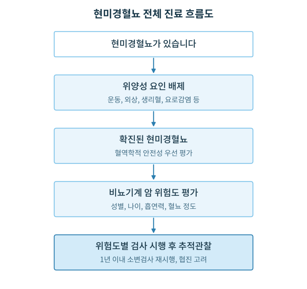 혈뇨 전체 진료 흐름도