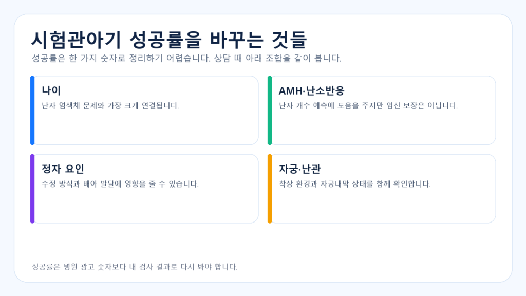 시험관아기 성공률을 바꾸는 나이 AMH 정자 자궁 요인 도표